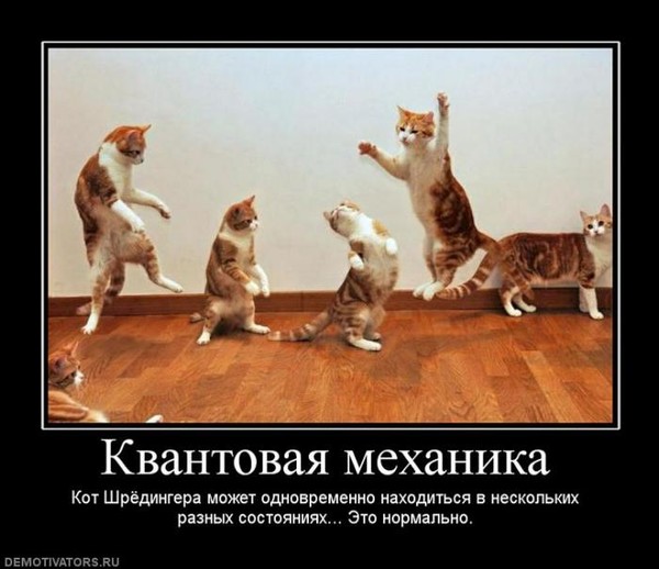 Кот Шрёдингера