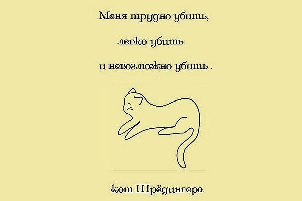 Кот Шрёдингера