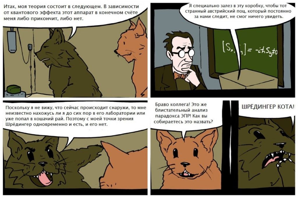 Кот Шрёдингера