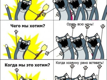 кто мы чего мы хотим