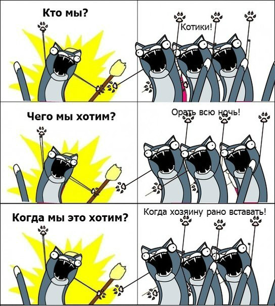 кто мы чего мы хотим