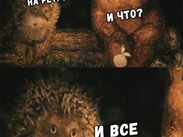 И что? И всё (Ёжик в тумане)