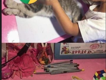 Девочка обводит кошку