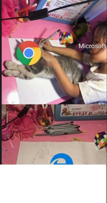 Девочка обводит кошку