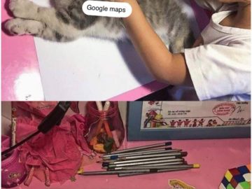 Девочка обводит кошку