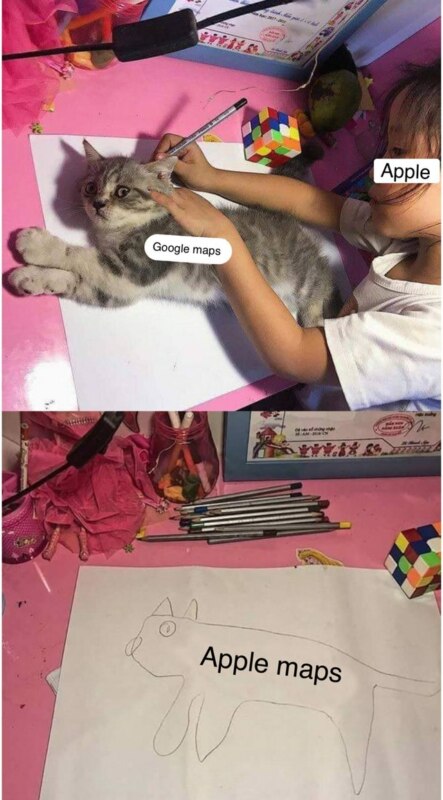 Девочка обводит кошку