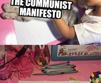 Девочка обводит кошку