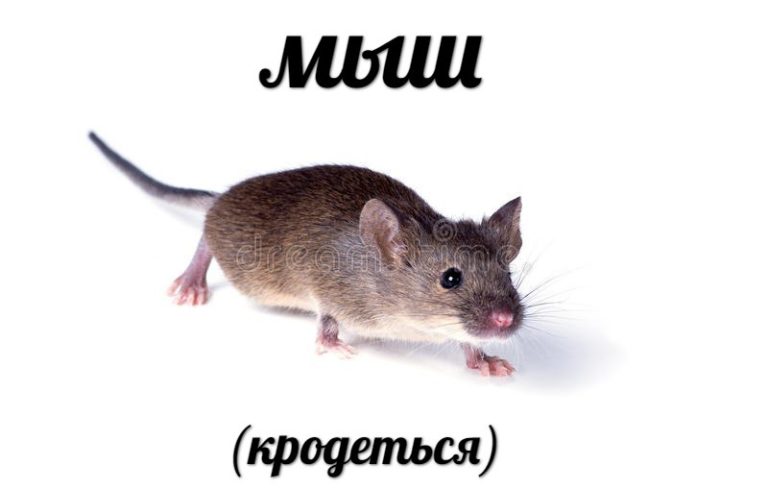 мемы августа 2018 мемы августа 2018