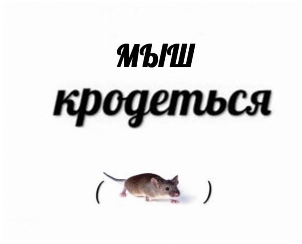 Мыш (кродеться) наоборот