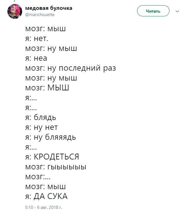 Мыш заела в голове