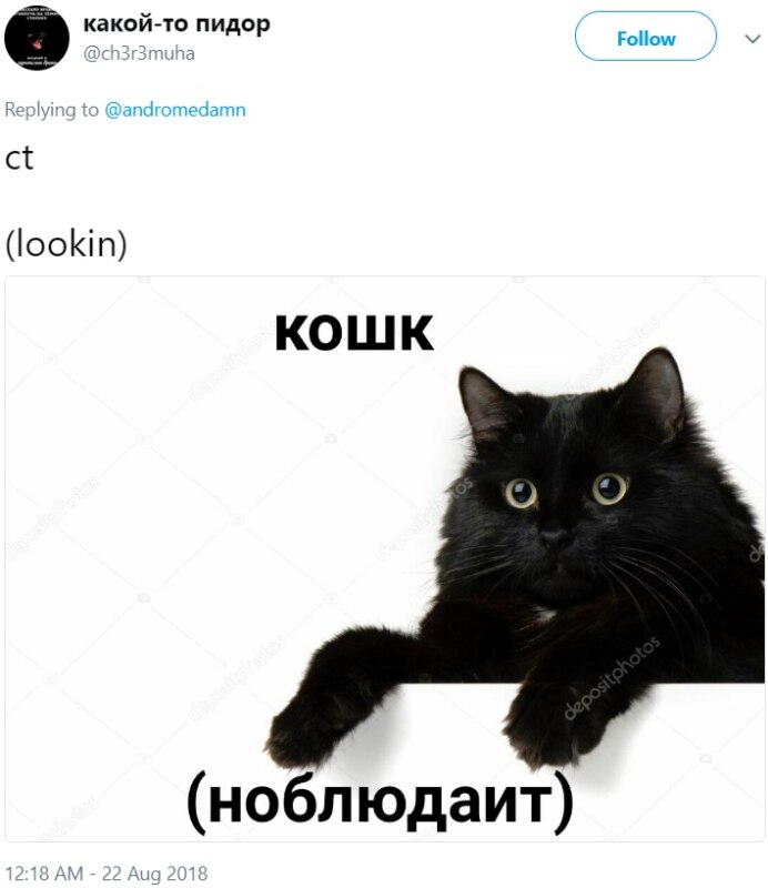 Русские мемы (проникают на Запад) Русские мемы (проникают на Запад)