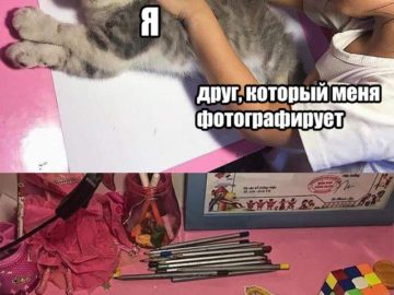 Девочка обводит кошку