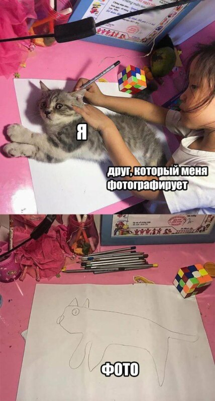 Девочка обводит кошку