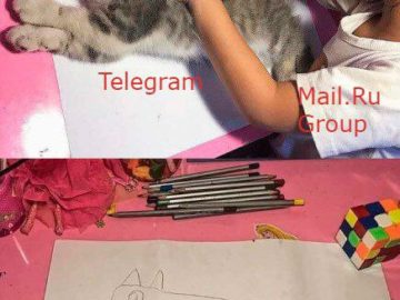 Девочка обводит кошку
