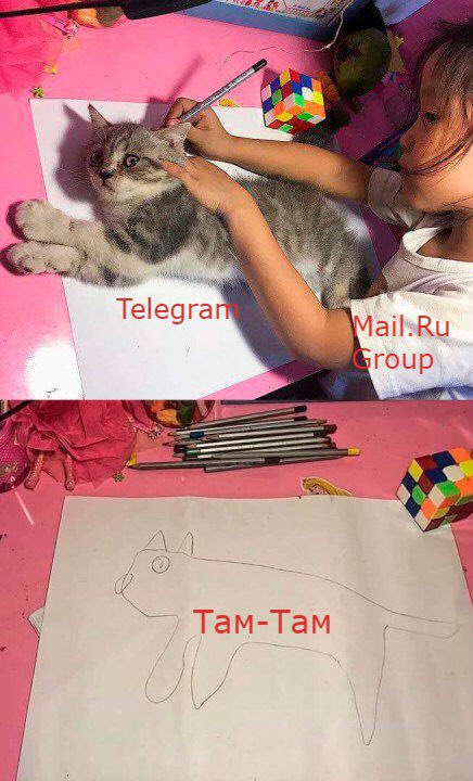 Девочка обводит кошку