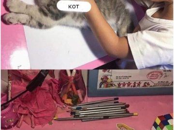 Девочка обводит кошку