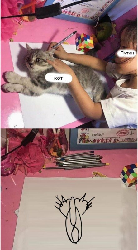 Девочка обводит кошку