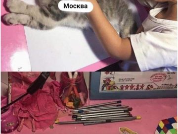 Девочка обводит кошку