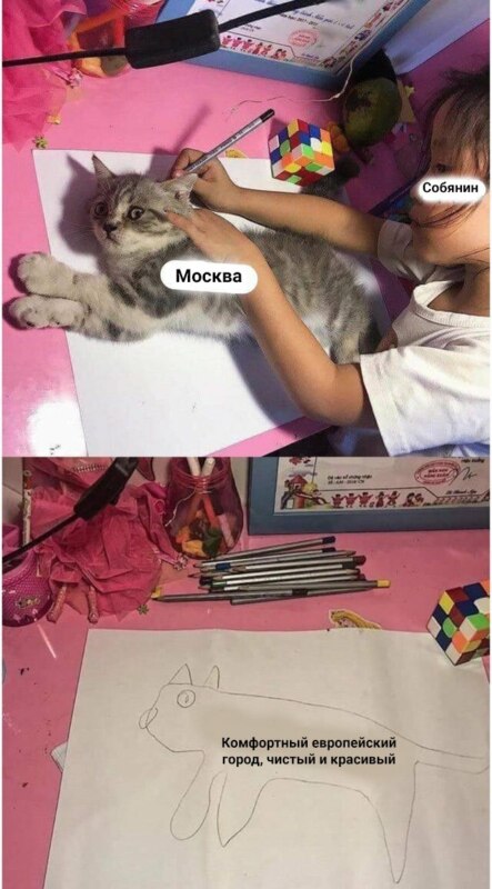 Девочка обводит кошку
