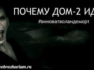 Виноват Волан-де-Морт