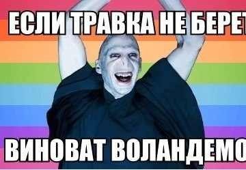 Виноват Волан-де-Морт