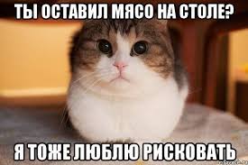 Я тоже люблю рисковать
