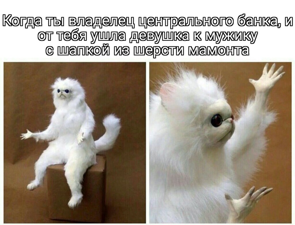 Шапка из шерсти мамонта Шапка из шерсти мамонта