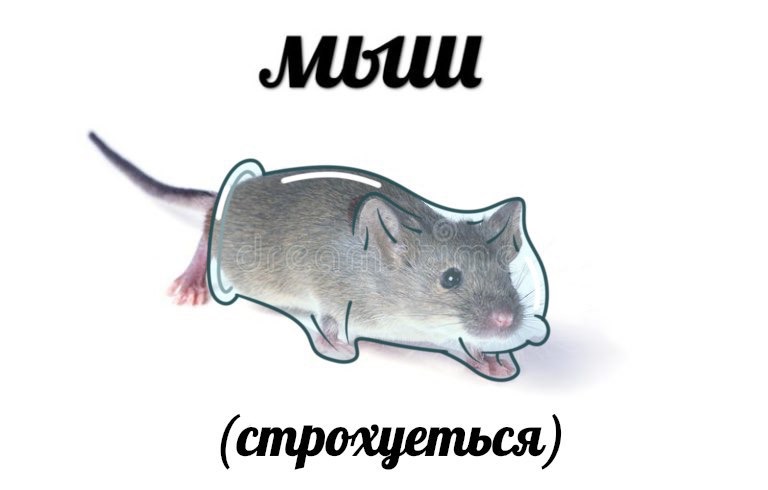 Паблик презервативов Ganzo