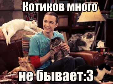 Шелдон Купер