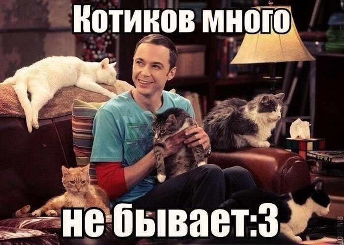 Шелдон Купер