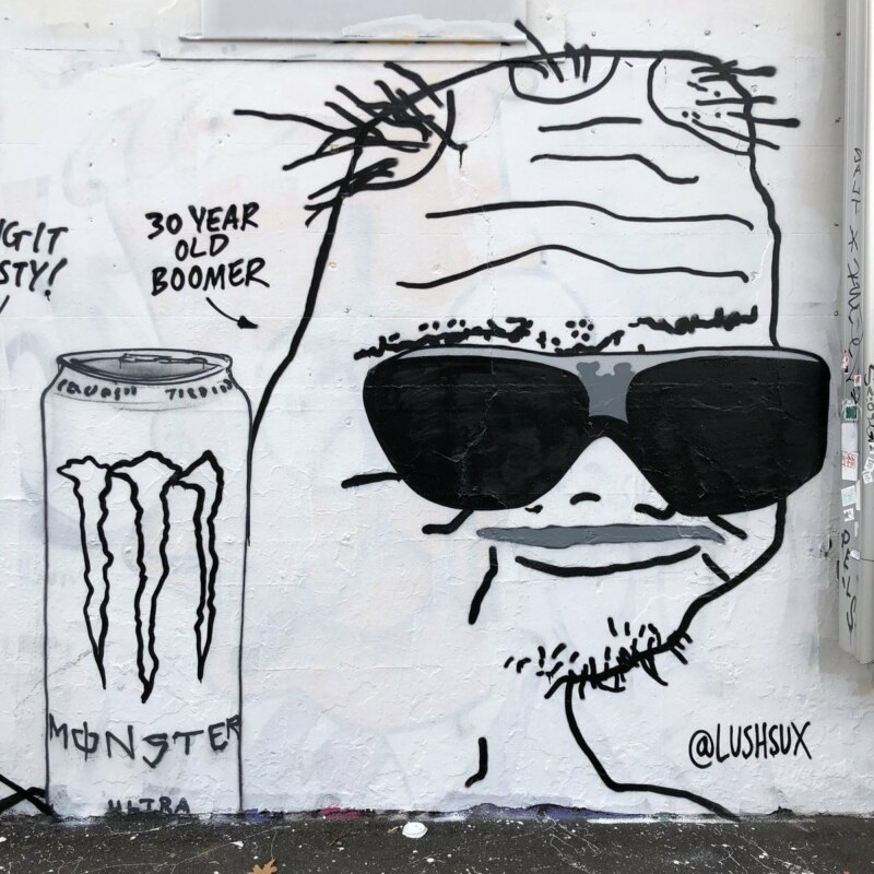 30 Year-Old Boomer