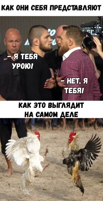 Макгрегор и Нурмагомедов Макгрегор и Нурмагомедов