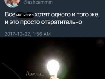 Мемы с молью
