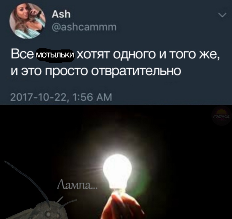 Мемы с молью
