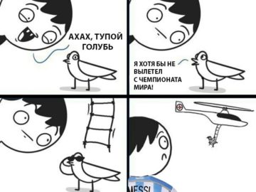Тупой голубь