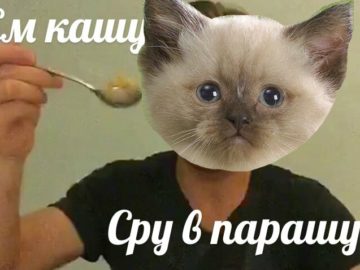 Бабулех