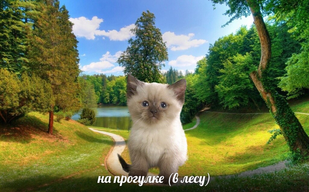 Бабулех