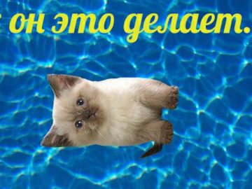 Бабулех