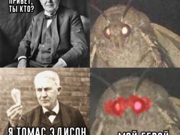 Мемы с молью
