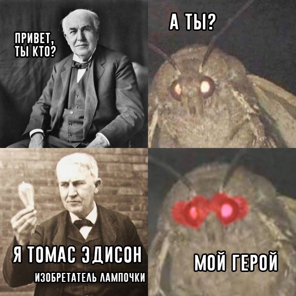 Мемы с молью