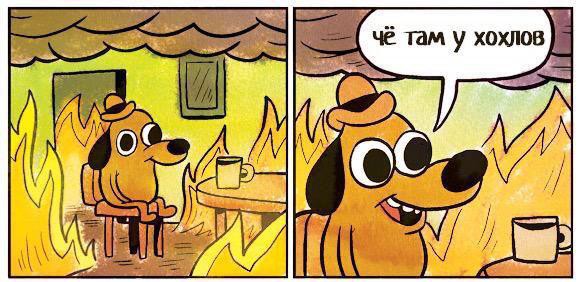 Че там у хохлов?