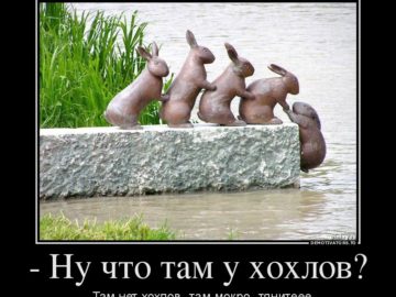 Че там у хохлов?