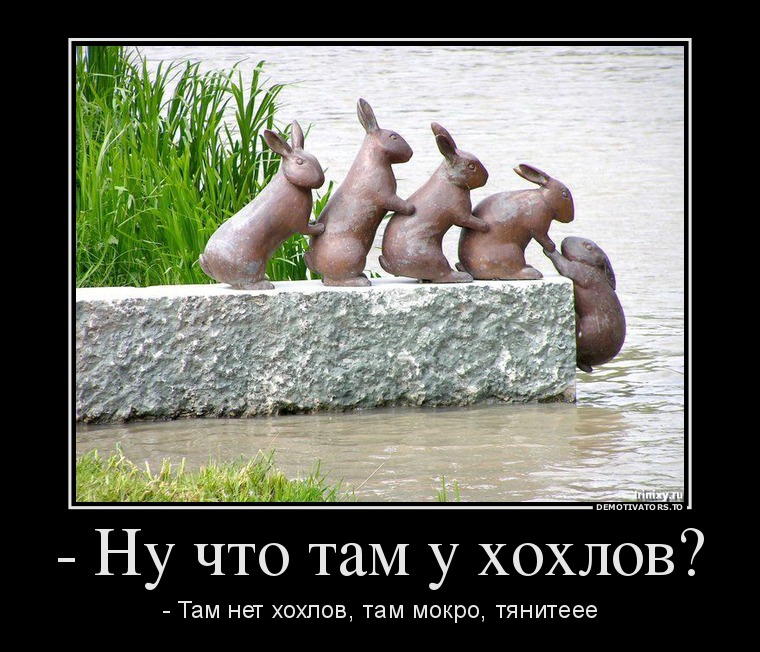 Че там у хохлов?