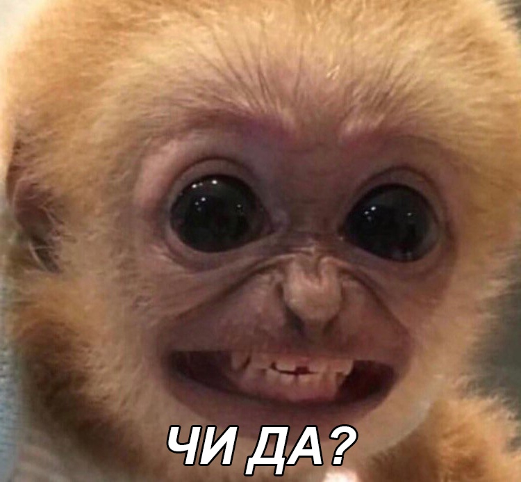 Чи да?