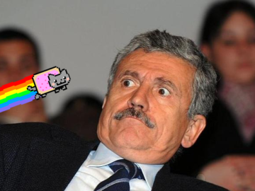 dalema nyancat