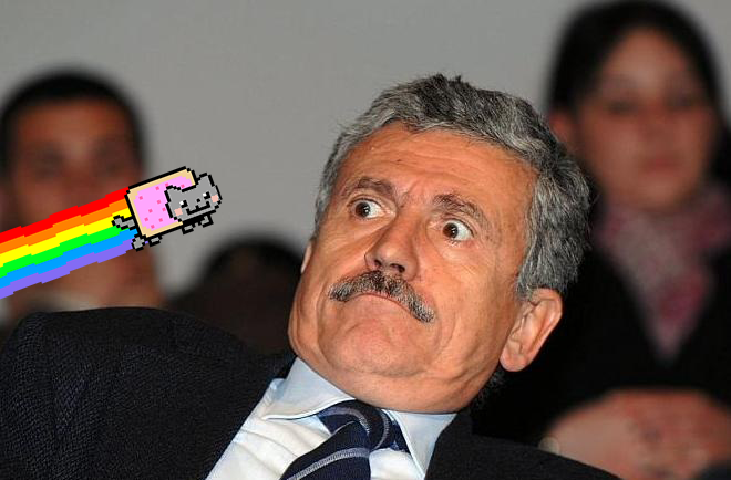 dalema nyancat