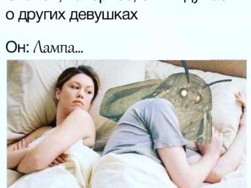 Мемы с молью