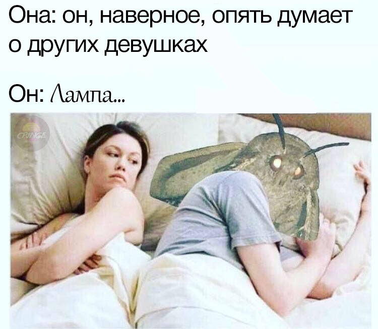 Мемы с молью