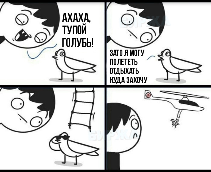 Тупой голубь