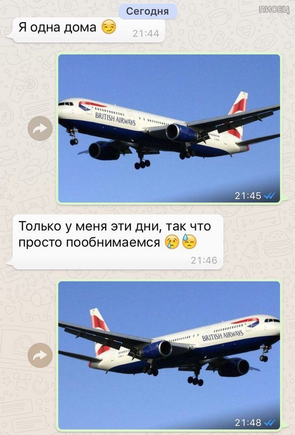 дома одна мем